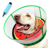 AThooDel upgraded inflatable dog cone in Watermelon color showing gentle neck support
