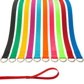 ATICNECH Slip Lead Set in vibrant colors for versatile rescue, grooming, and training scenarios.