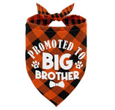 AUII JO DESIGN dog bandana big-brother print ideal for adorable photoshoots