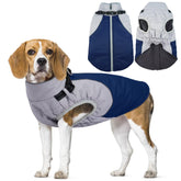 AuraPaw winter coat front view shows waterproof blue fabric for dry, comfortable outdoor walks.