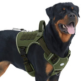AUROTH Tactical Dog Harness front clip provides no-pull control for confident walks.