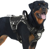 AUROTH Tactical Dog Harness front view showing easy adjustments for control