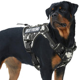 AUROTH Tactical Dog Harness full view demonstrates durable build for training and adventures.