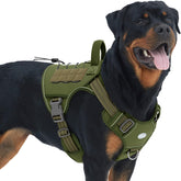 AUROTH Tactical Dog Harness large front view emphasizes no-pull control for training.