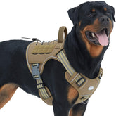 AUROTH tactical dog harness front view shows no pull design for calmer training.