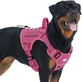 AUROTH Tactical Dog Harness large vest shows secure no-pull fit for daily walks.