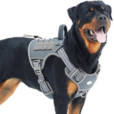 AUROTH Tactical Dog Harness on large dog demonstrates no-pull control for calm walks.