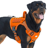 AUROTH tactical dog harness orange front clip view for no-pull control during walks.