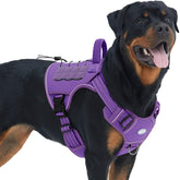 AUROTH Tactical Dog Harness purple main view shows rugged, adjustable fit for large dogs