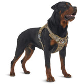 AUROTH tactical dog harness woodland camo buckles enable quick on/off comfort.