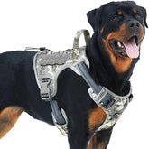 Auroth tactical dog training harness front clip for no pull control during training