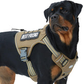 AUROTH Tactical Harness large dog front view for secure control during training