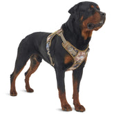 AUROTH Tactical Harness front view shows no-pull control for confident training sessions.