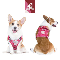 AUROTH harness on back clip for comfortable daily walks.