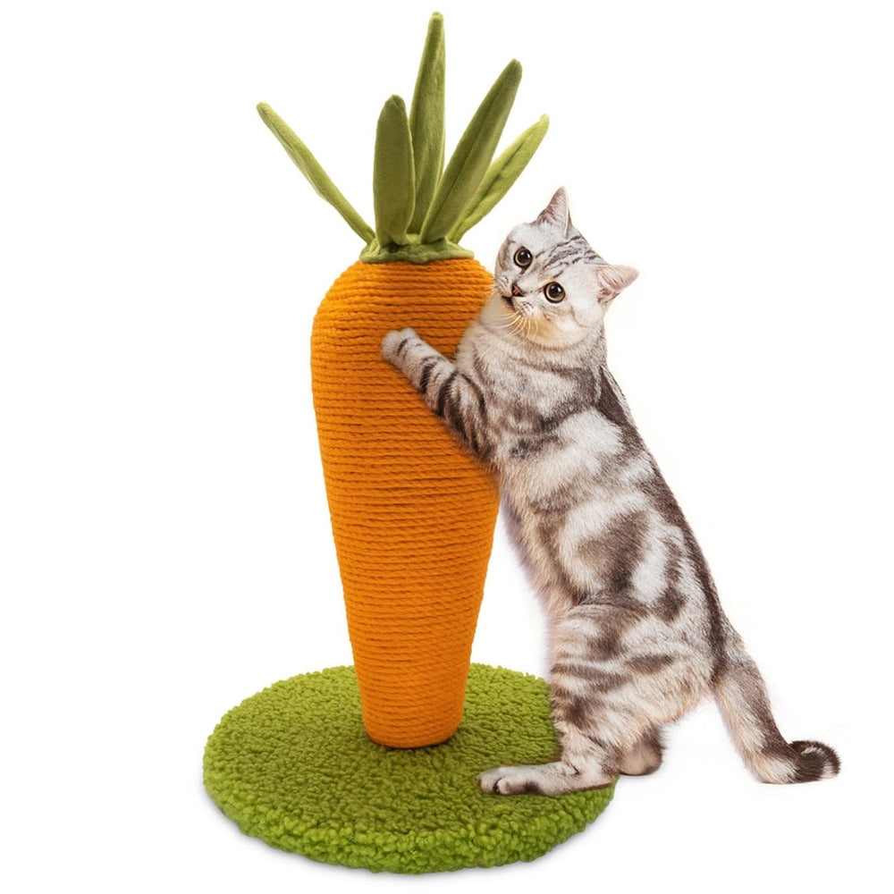 AUSCAT Carrot Scratching Post base view, sturdy support for indoor cats.