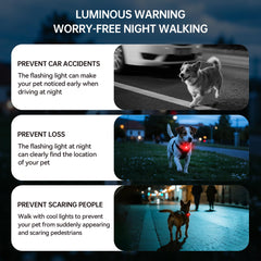 AutoEuropa LED collar light red mode supports low-disturbance signaling.