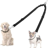 AUTOWT double dog leash 360° swivel in action for tangle-free walking.
