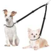 AUTOWT double dog leash setup for tangle-free walks