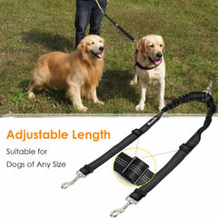 AUTOWT tangle-free swivel buckle design shown during two-dog walk.