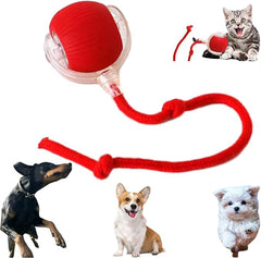 AUTRETY electric ball toy on floor inviting dogs to chase and fetch indoors