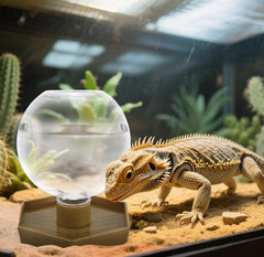 AUTSEEYS automatic water dispenser for geckos maintains fresh water accessibility.