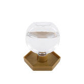 AUTSEEYS reptile water feeder 12oz round bowl keeps terrarium hydrated.