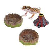 AUTSEEYS small reptile feeding dish 2pack feeding-dish for easy feeding access.