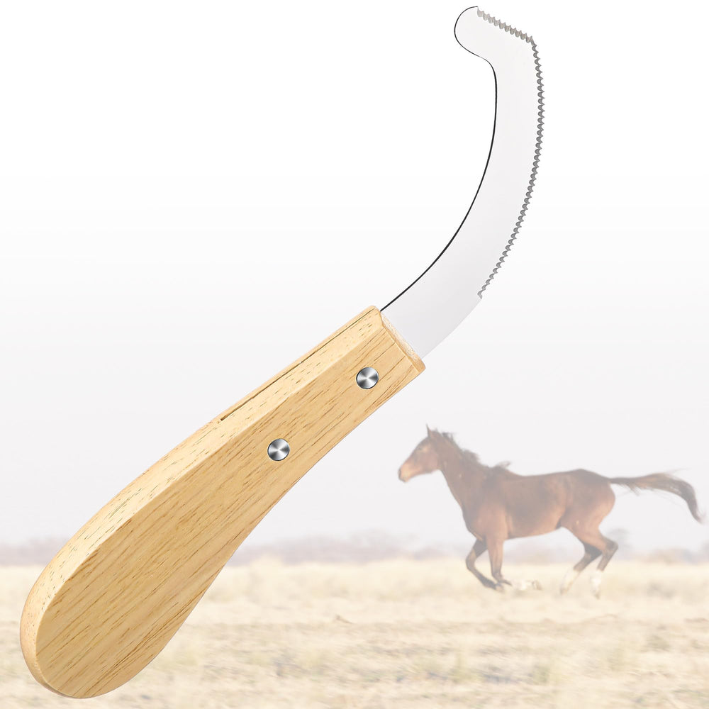 Avenuebool Bot Egg Knife with stainless blade for precise bot egg removal on horses