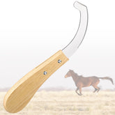 Avenuebool Bot Egg Knife with stainless blade for precise bot egg removal on horses
