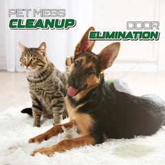 Aviano Botanicals carpet-stain-cleaning highlights enzyme power for pet messes
