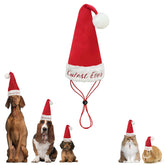 Avoirdus Cutest Ever dog Santa hat front view for a photogenic holiday pose