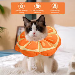 Avont cat cone soft Tangerine adjustable drawstring shows secure fit during recovery and daily activities