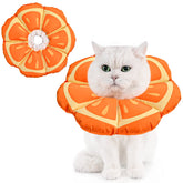 Avont cat cone soft Tangerine front view highlights comfortable adjustable recovery collar