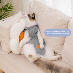 Avont Cat Recovery Suit back-closure demonstrates secure adjustable fit.