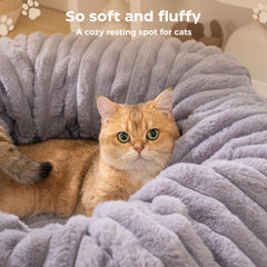 Avont Cat Tunnel with two peek holes and balls sparks interactive kitten play.