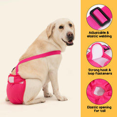 Avont dog diaper suspender clip closeup highlighting secure adjustable closures.