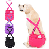 Avont washable dog diaper front view shows comfortable fit with leak protection.