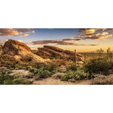 AWERT reptile background blue sky oasis enhances desert terrarium ambiance for calming viewing