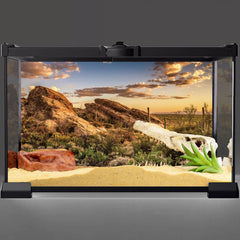 AWERT blue desert backdrop with cactus accents highlights habitat depth for realistic aesthetics