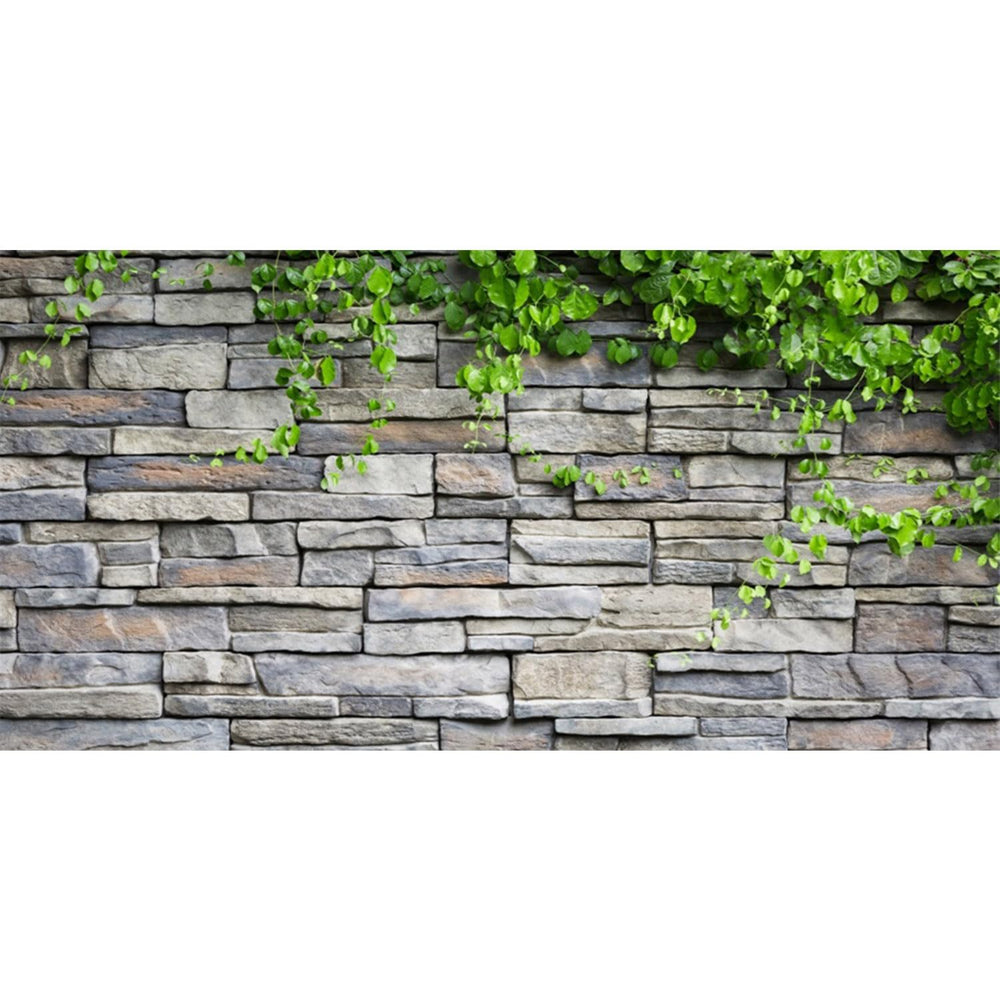 AWERT Stone Brick Wall Aquarium Background adds depth for colorful fish.