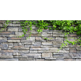 AWERT Stone Brick Wall Aquarium Background adds depth for colorful fish.
