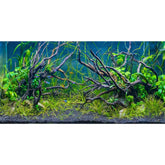 AWERT tropical fish tank background river bed enhances depth for vibrant underwater scenes.