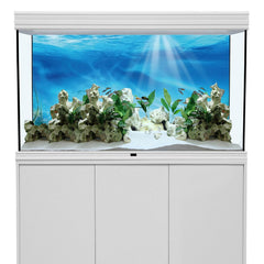AWERT undersea background sunshine-underwater-world design creates a bright, inviting habitat.