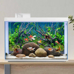 AWERT vinyl background for aquariums delivers durable, reusable decor with a no-glare finish.