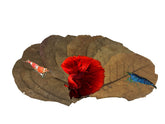 Awesome Aquatic Betta Leaves 10-pack shown for natural tannin release in soft water