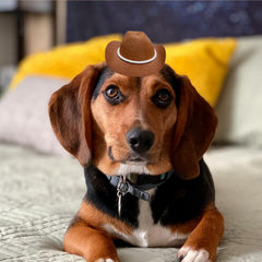 AWOCAN cat cowboy hat brown-style3 small enhances cute-party photo moments.