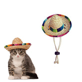 AWOCAN pet straw hat closeup showcases woven texture for festive style.