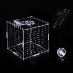 AWXZOM breeding box cover angled view for safe fry isolation and observation