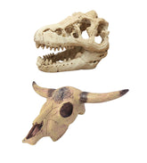 AWXZOM desert dinosaur skull adds realism to reptile terrariums.