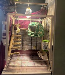 AWXZOM easy-install perch fits most cages quickly and securely